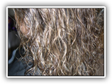 DSCN1798